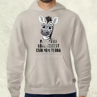 Nem zebra férfi pulóver