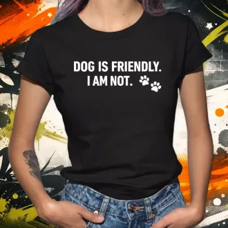 Friendly női póló