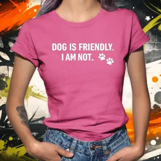 Friendly női póló